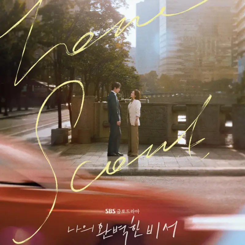 나의 완벽한 비서 드라마 포스터