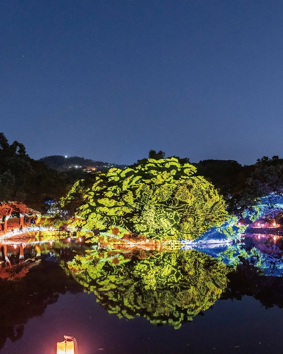 창경궁 물빛연화