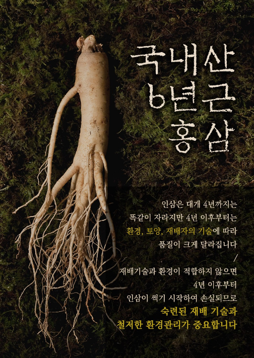 고철남홍삼 하루 한포&#44; 1000ml&#44; 1개 3