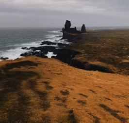 개별공시지가 조회 토지 부동산 건물 개별공시지가 조회