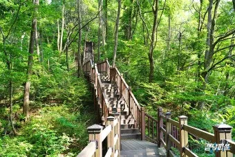 걷기좋은 숲길 50 서울 전남 경북_7