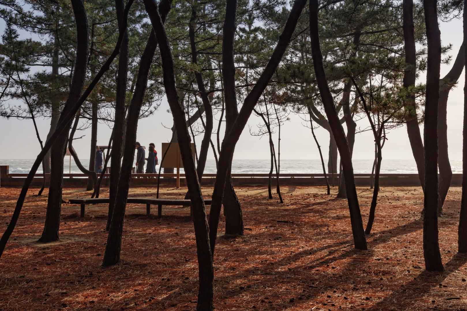 속초해수욕장