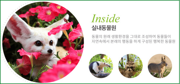 실내 동물원과 새로운 동물 친구들