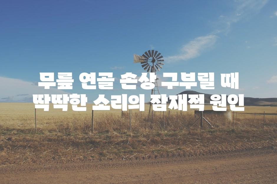 무릎 연골 손상 구부릴 때 딱딱한 소리의 잠재적 원인