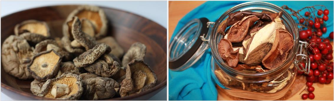 건조된-표고버섯-사진들