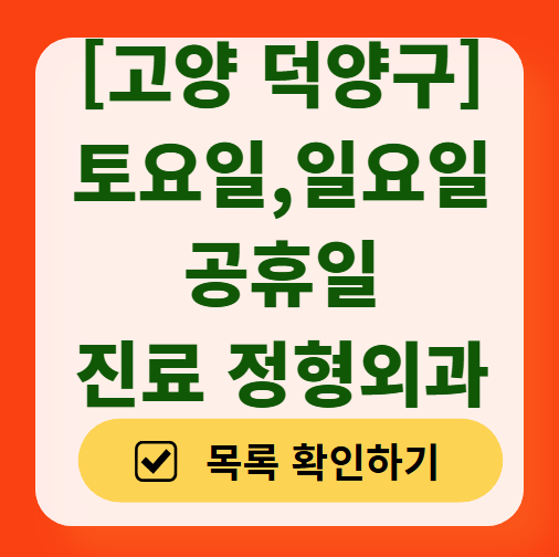 고양시 덕양구 일요일 주말 문 여는 정형외과 목록 ❘ 토요일, 공휴일 진료 영업 병원 리스트