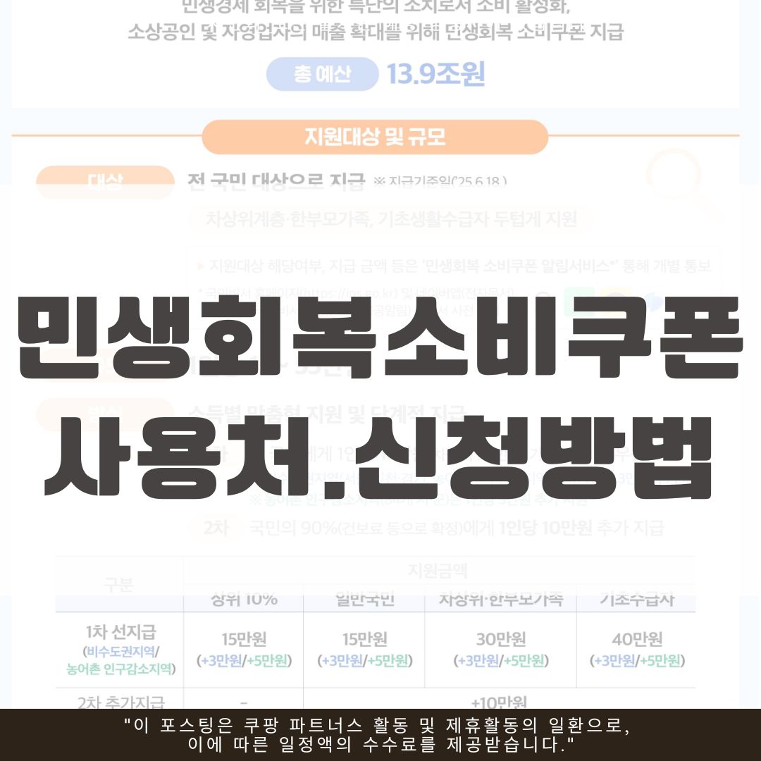 민생회복 소비쿠폰