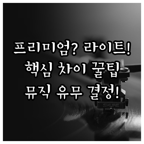 유튜브 프리미엄과 라이트 핵심 차이점..