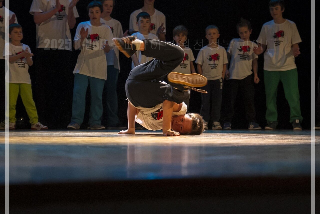 2025 K-POP 슈퍼라이브 완전 정복 가이드