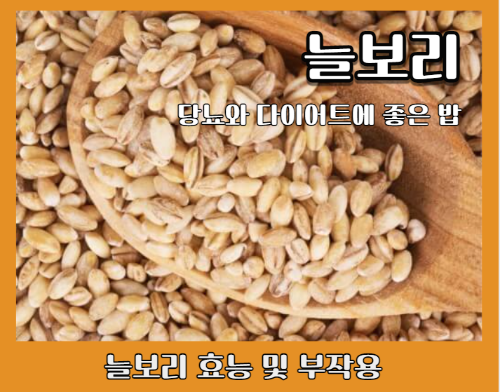 늘보리 효능 5가지와 주의사항 및 부작용