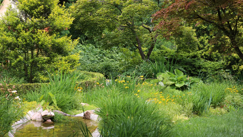 자연 친화적 조경 소개: 토종 식물 활용