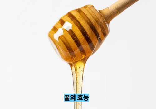 꿀의 효능