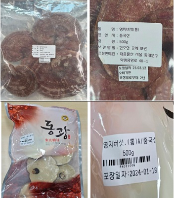 회수대상 영지버섯