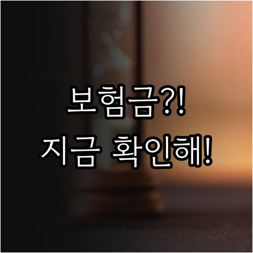 흥국화재 실손 청구 접수번호 찾기 및..