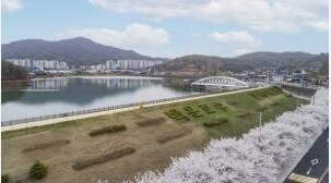 숨은 벚꽃명소 / 2024 충청도 벗꽃명소 벚꽃여행