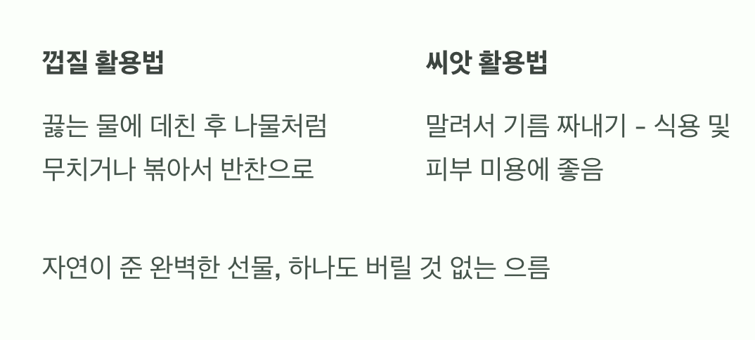 껍질과 씨앗, 버리지 마세요!