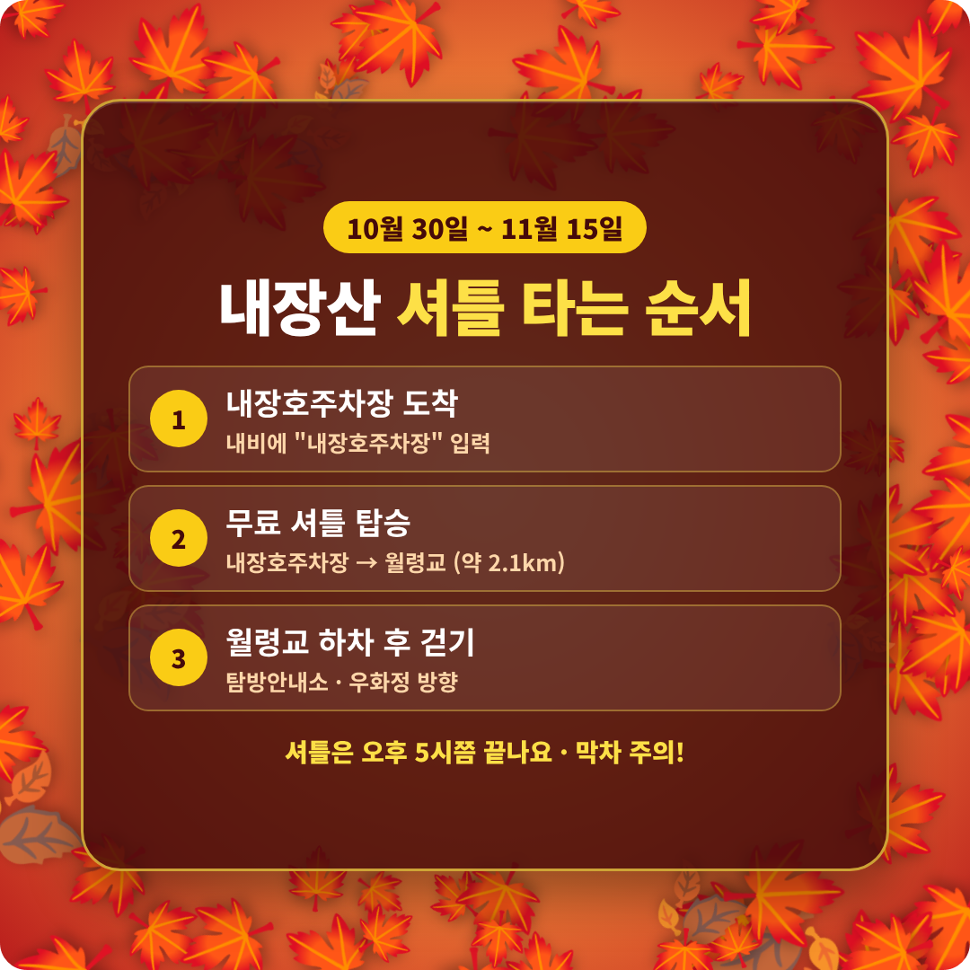 내장산 단풍축제 기간 이미지
