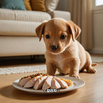 강아지 닭가슴살 효능