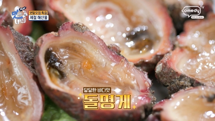 돌멍게