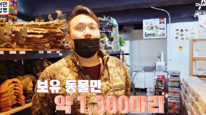 서민갑부 381회 거북 뱀 이구아나 카멜레온 절지류 양서류 파충류 희귀 반려동물 샵 가게 방송 정보