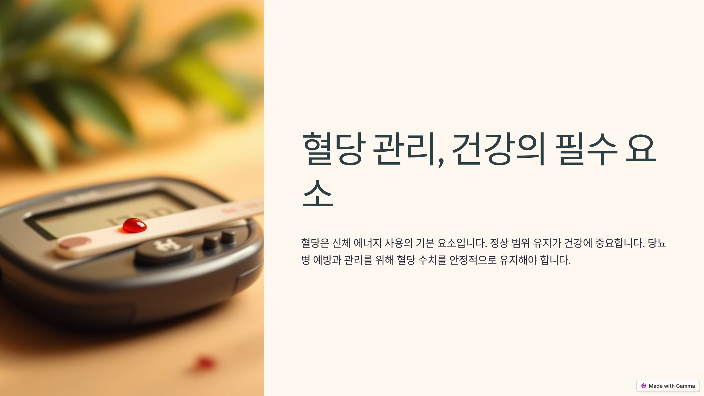혈당 정상