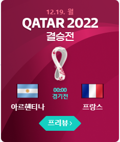 프랑스&amp;#44;아르헨티나 결승전