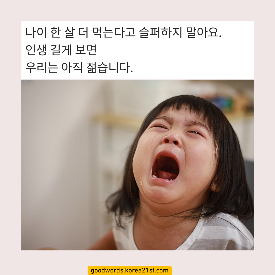 12월 인사말 이미지 문구 모음집 안부 문자 메세지