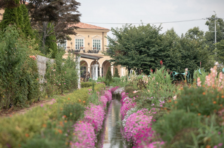퍼스트가든 별빛축제