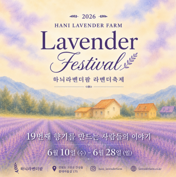 하늬라벤더팜 라벤더 축제