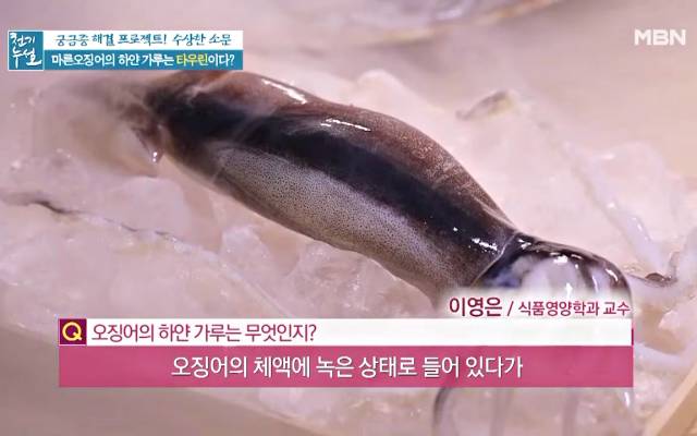 마른 오징어 하얀가루 곰팡이 마른오징어보관법
