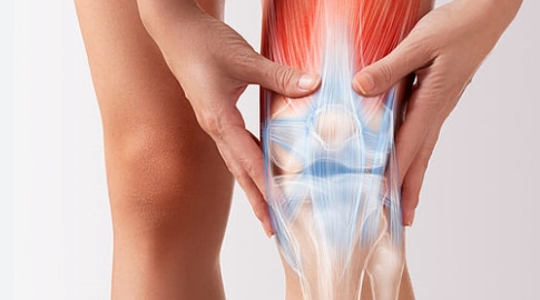 시니어 무릎 관리 운동&amp;#44; 통증 없는 60대를 위한 5가지 방법