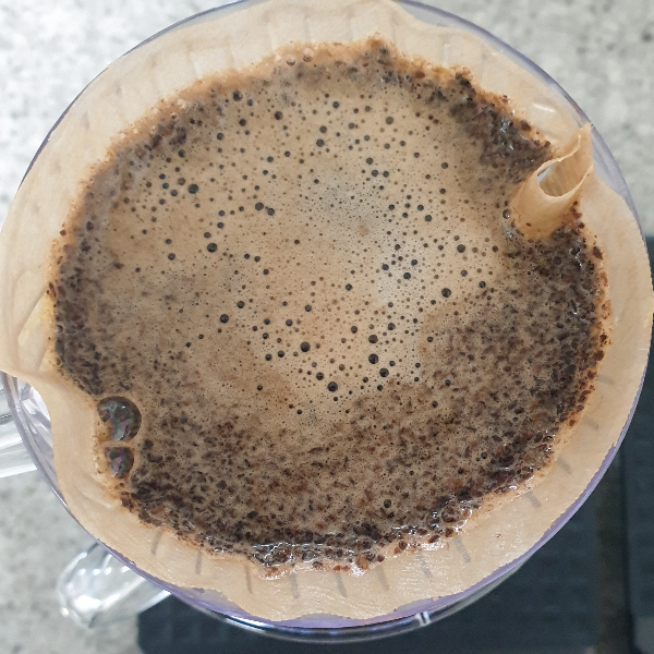 메리타 드리퍼를 사용한 12g 추출 레시피 (vs 타라치네 코니컬 30 드리퍼) _ one pour