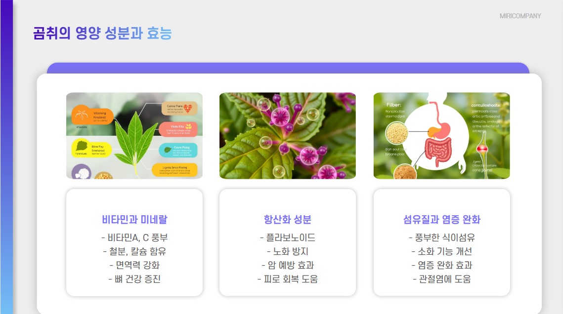 곰취의 영양성분과 효능