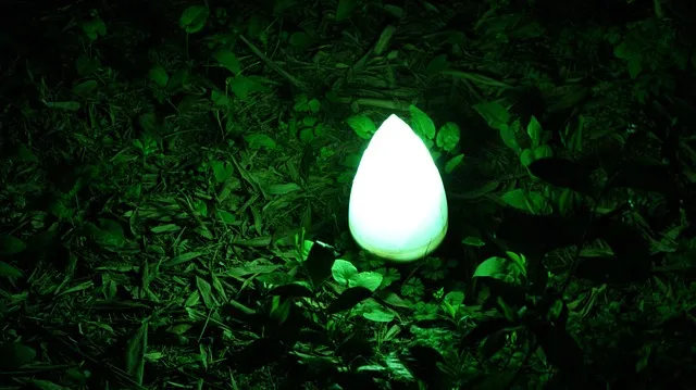 담양 죽녹원 소아르호텔 숙박 맛집_7