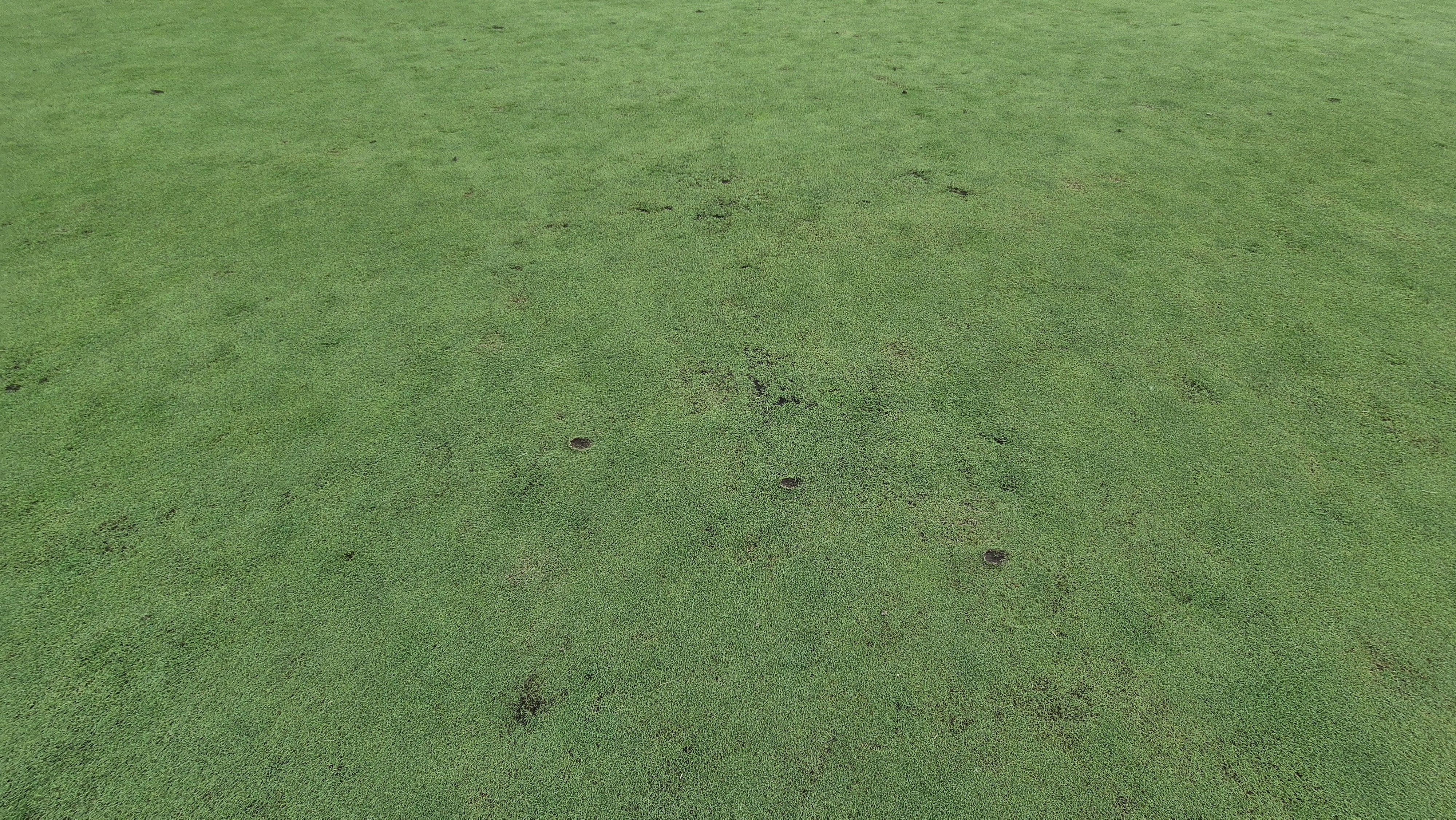 플라밍고cc 듄스-링크스 코스 라운드 후기