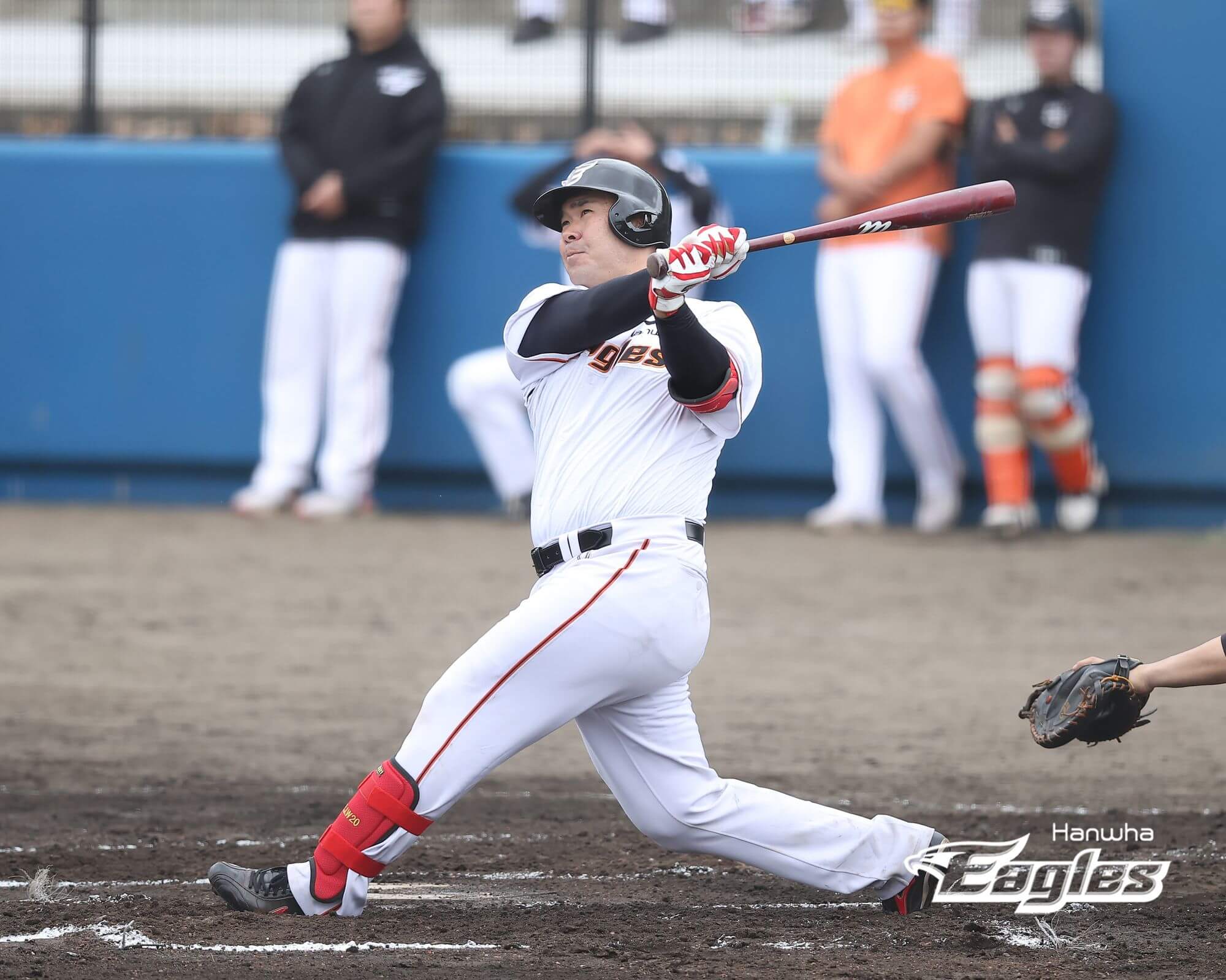 2024 한화 이글스 티켓 할인 예매, 무료 주차, 좌석 종류 및 특징, 경기일정 및 결과