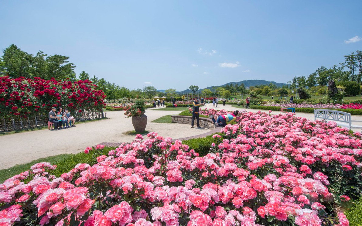 2025 건강도시 스탬프 투어