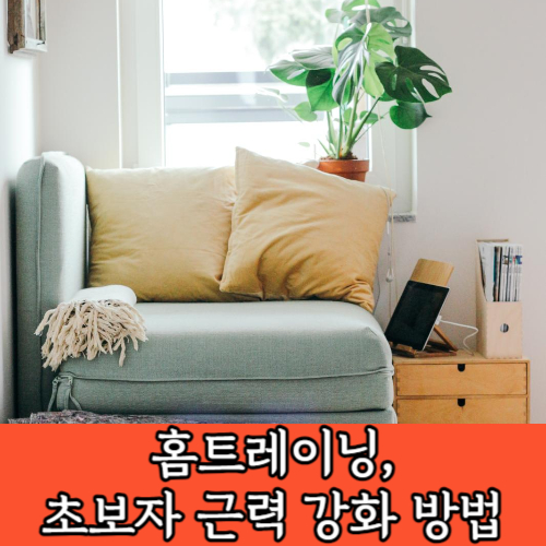 홈트레이닝