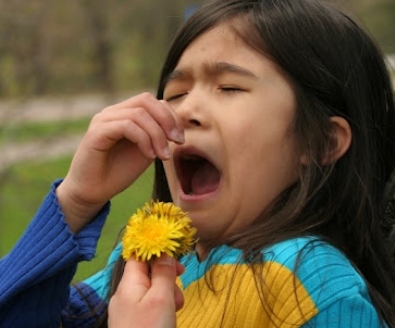 꽃가루 알레르기 증상 3가지
