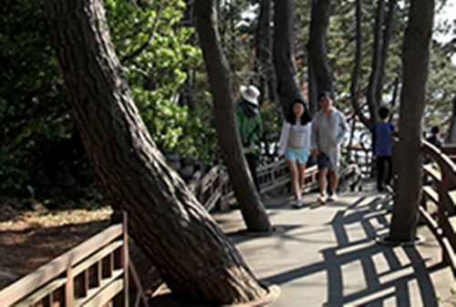 태안 가볼만한곳