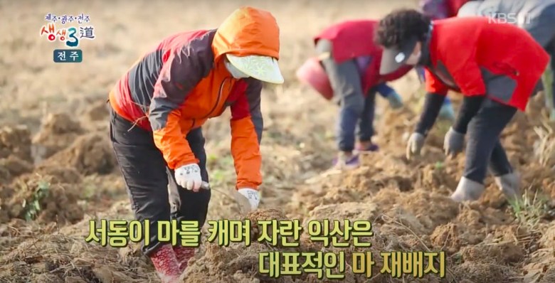 네모세모 마누룽지 마누룽지국수 햇마 마가루 파는 곳 전국 택배 주문 전화 판매