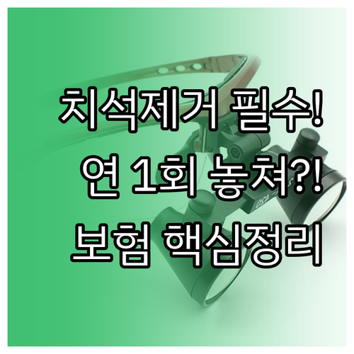 치석 제거 보험 적용 기준 만 19세..