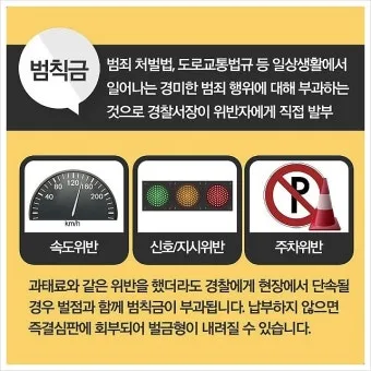 범칙금과 과태료의 차이한눈에 비교하기로_14