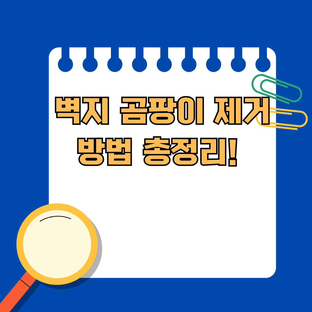 벽지 곰팡이 제거방법 총정리! 재발 방지까지 완벽하게 끝내기