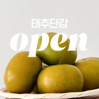 태추단감 이란 아직도 그냥 단감이라고 생각하세요 feat 일반 단감과 완벽 비교 분석으로_45