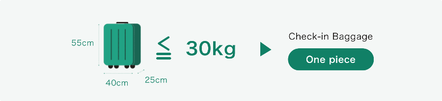 위탁수하물 기준