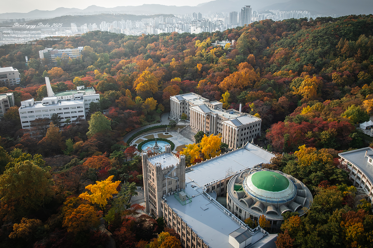 #서울 #경희대 #경희대학교 #단풍 #가을 #모교