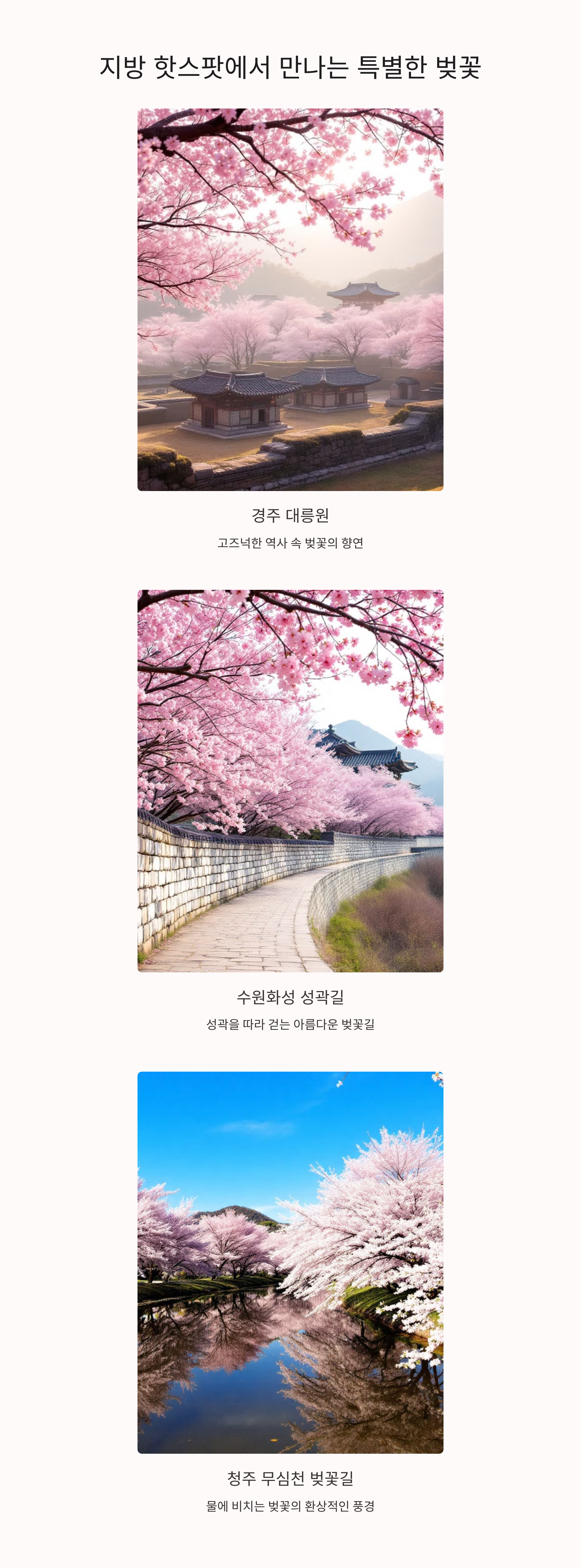 경주 대릉원 수원화성 성곽길 청주 무심천 벚꽃길