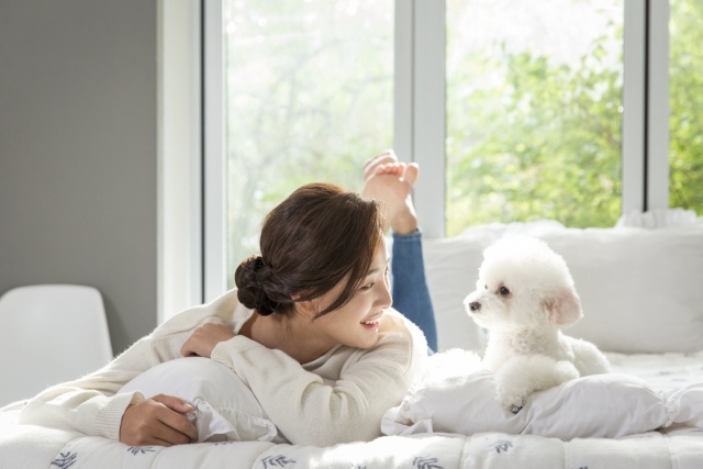 제주항공 펫패스 혜택