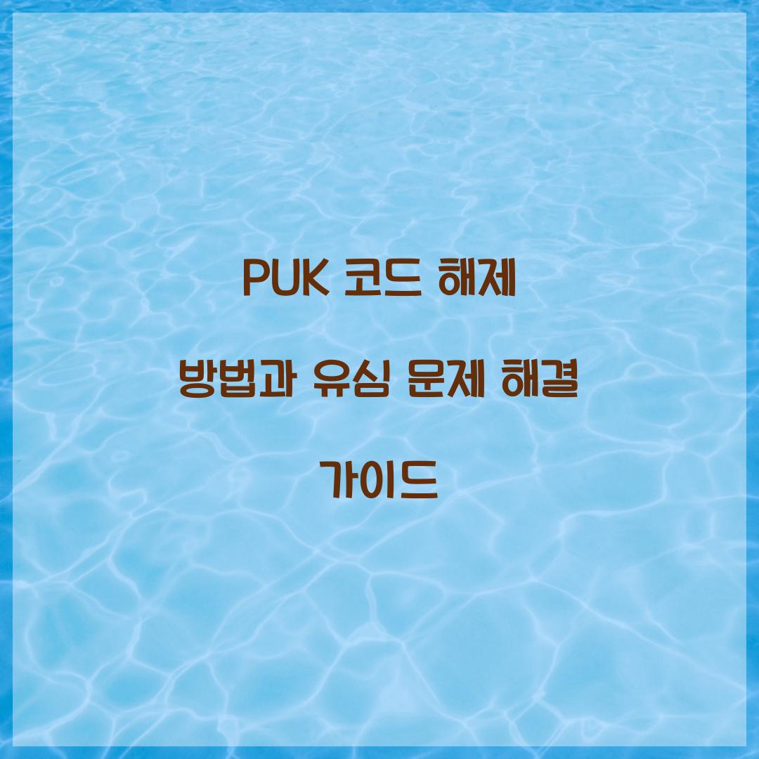 PUK 코드 해제 방법